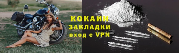 индика Вяземский