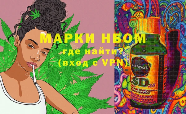 хмурый Кинешма