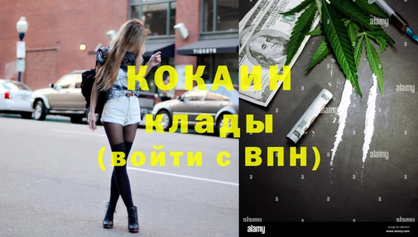 дмт Козловка