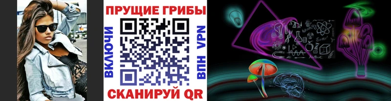 Псилоцибиновые грибы GOLDEN TEACHER  как найти закладки  Кохма 