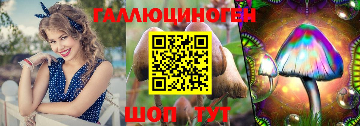 Кохма  Галлюциногенные грибы мухоморы  Вход с VPN 
